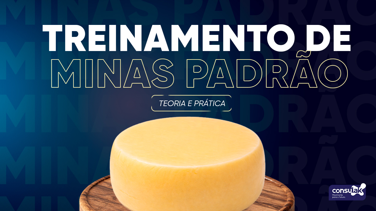 Queijo Minas Padrão